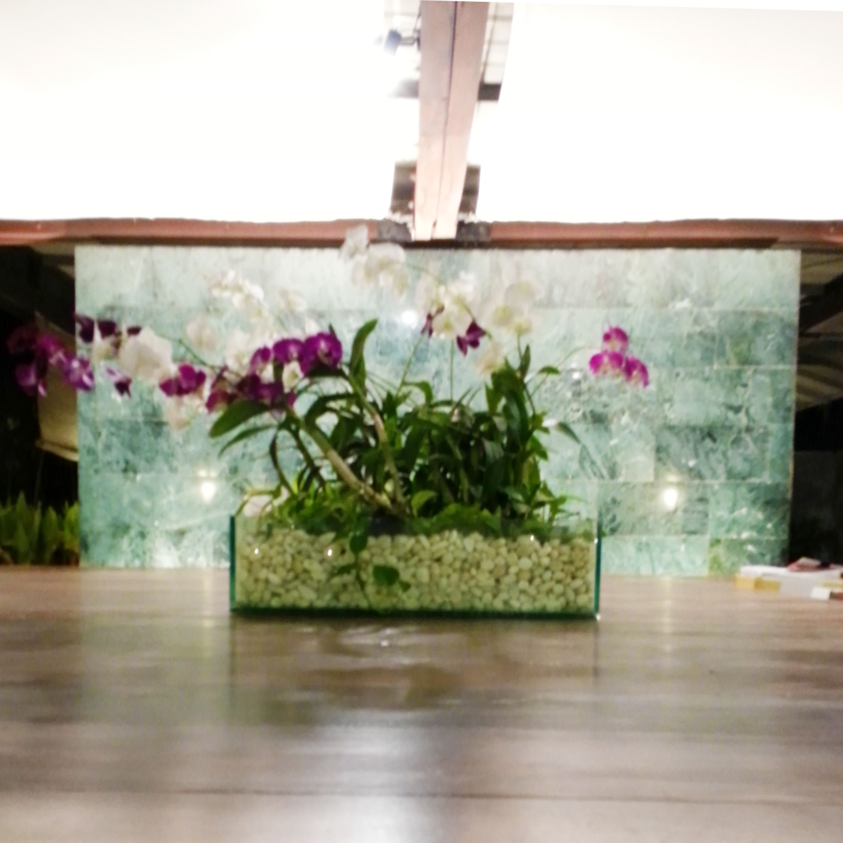 Foto - Costa Lanta - Adult Only