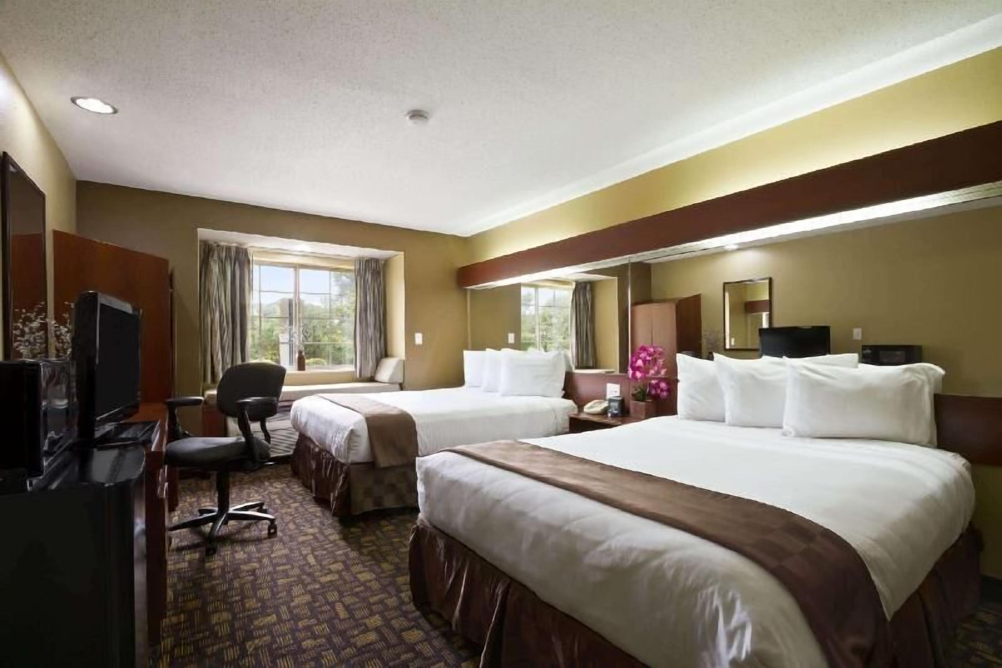 Pillow-top beds, in-room safe, desk, blackout curtains