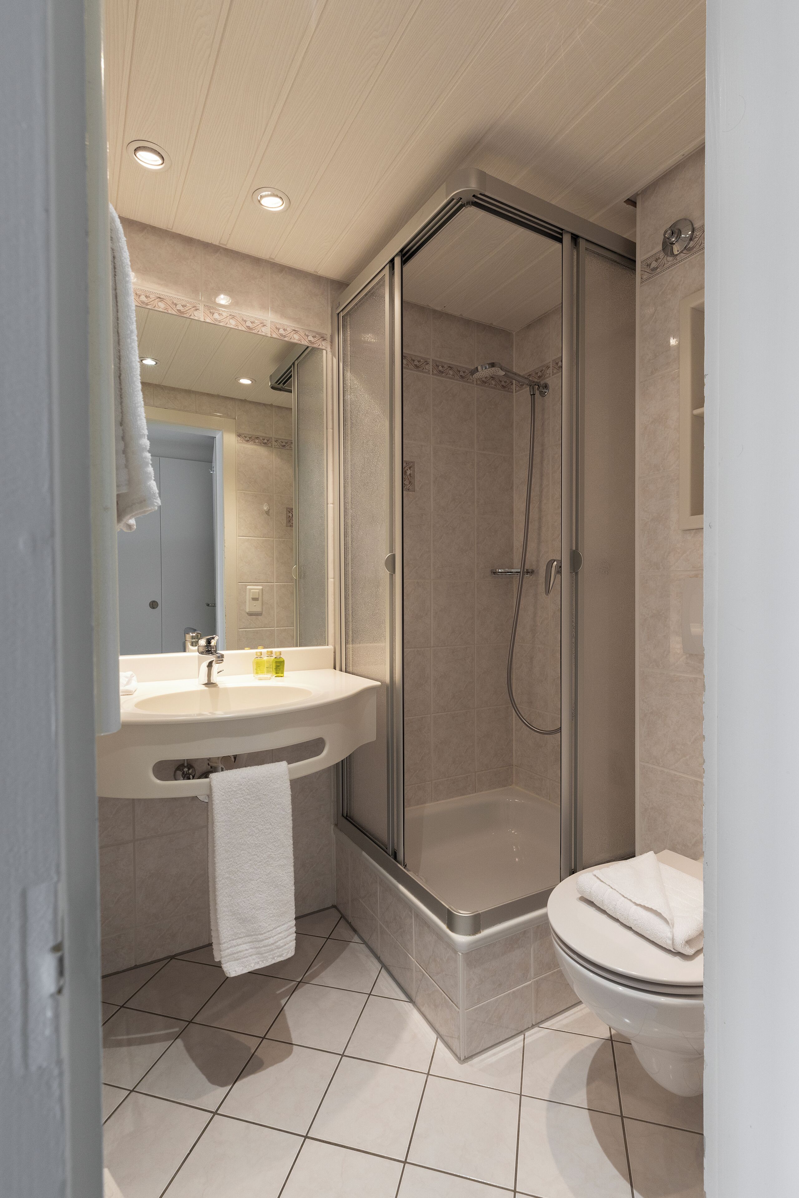Un baño moderno con ducha envuelta en vidrio, un lavabo blanco y un inodoro.