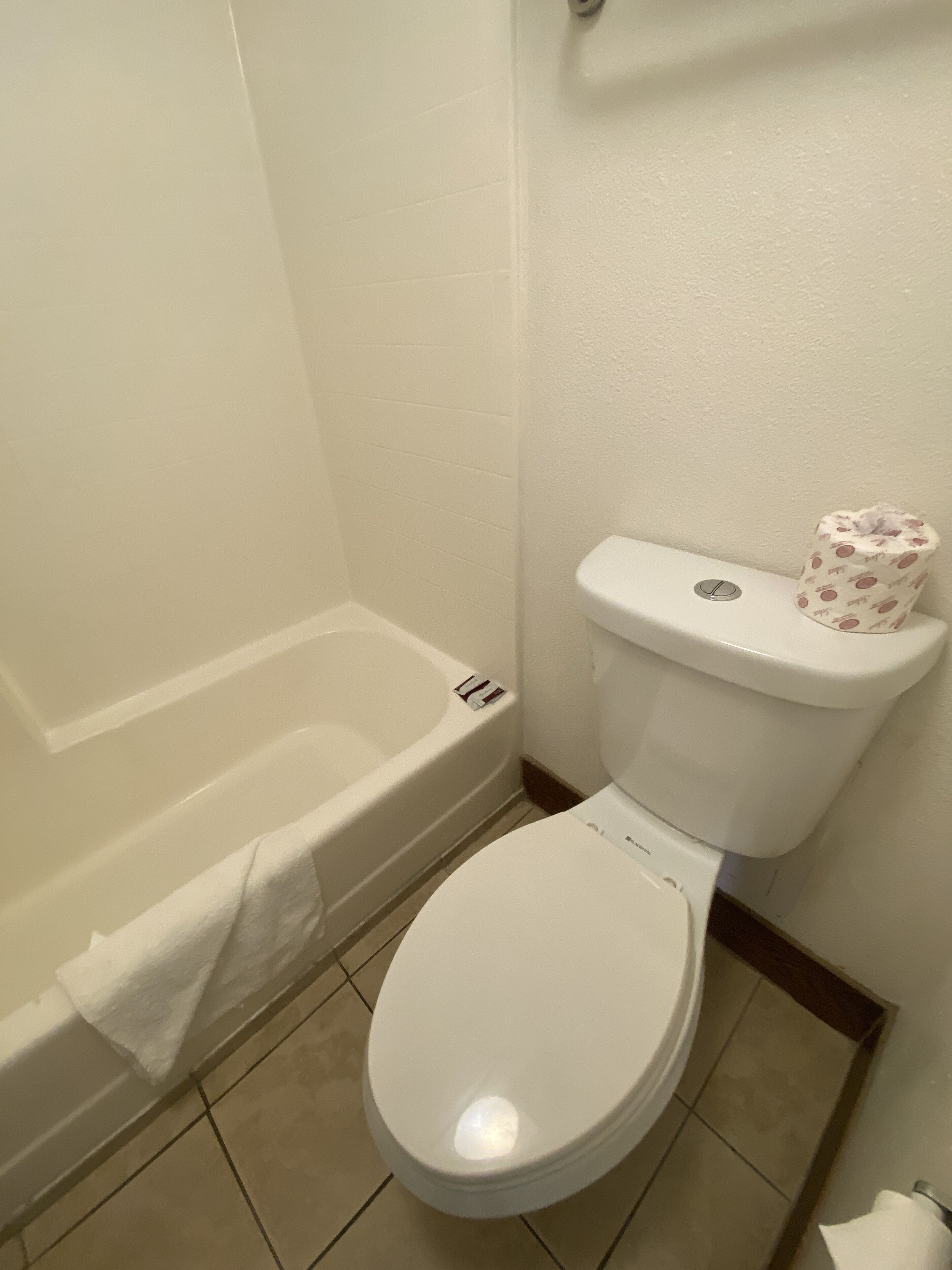 A bathroom with a white toilet, a white bathtub, and a white toilet paper holder.