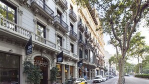 Une vue d’une rue bordée de bâtiments historiques dotés de balcons, avec une voiture noire garée sur le bord et un trottoir bordé d’arbres.