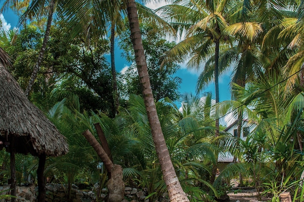 Servicio de la propiedad