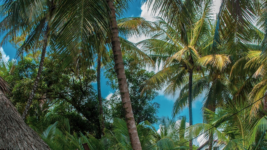 Abezza Resort And Adventure Spa