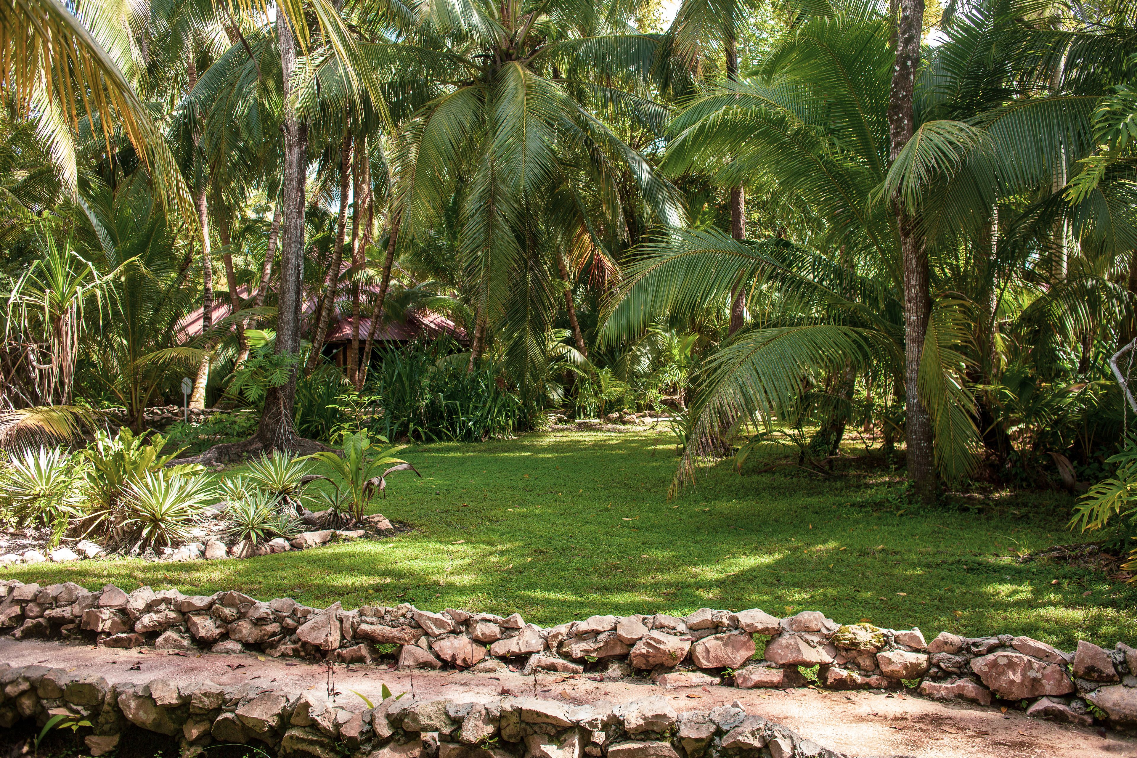 Smekmånadsbungalow - 1 sovrum - icke-rökare - bubbelpool | Utsikt från rummet
