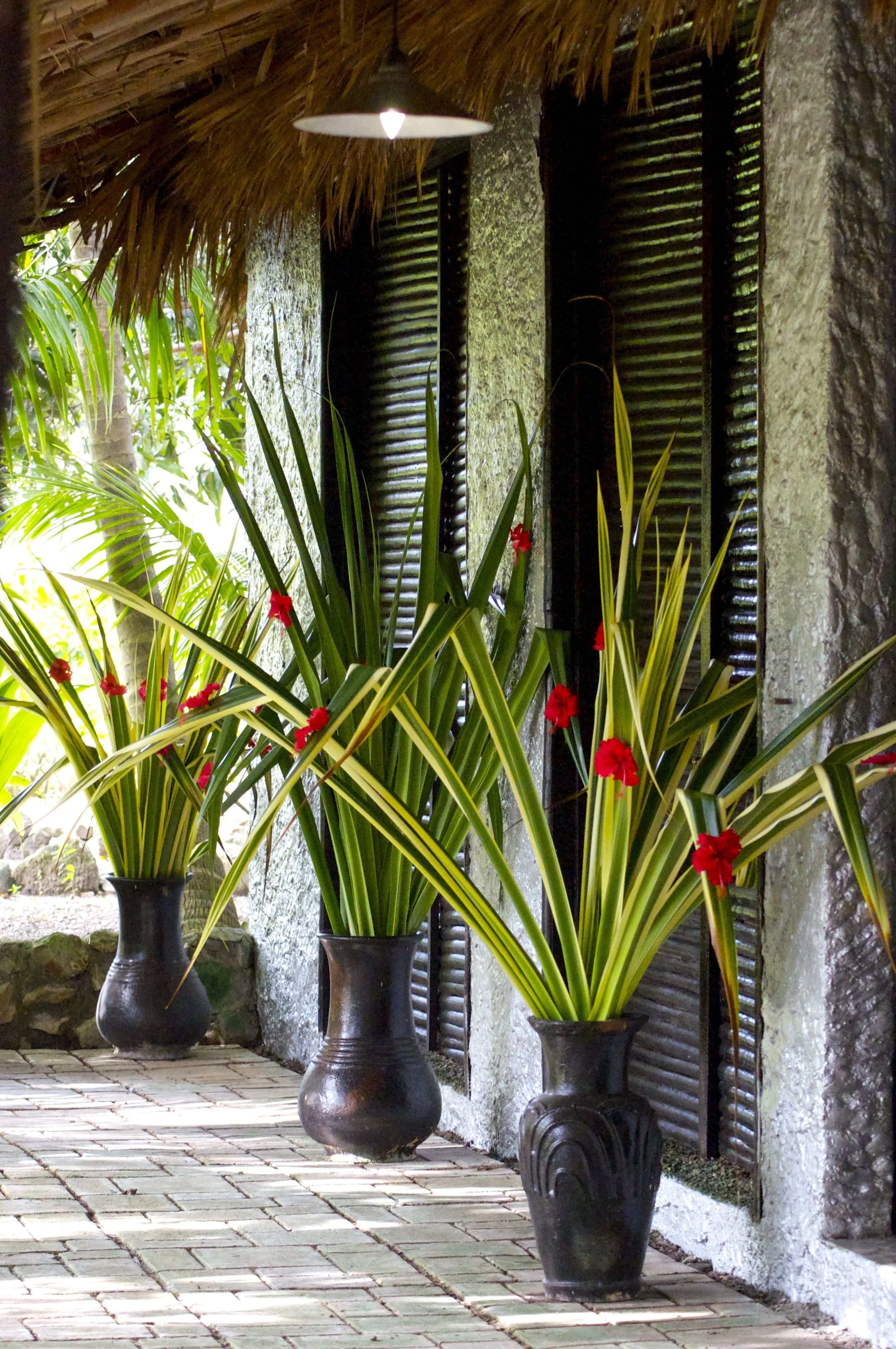 couples treatment room(s), hot tub, turkish bath/hammam, body treatments