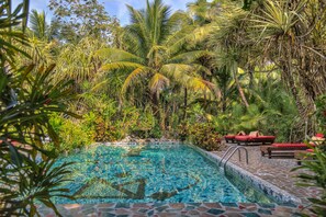 Une piscine entourée de palmiers et de chaises longues rouges.