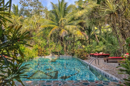 2 piscinas al aire libre, camas de piscina gratis