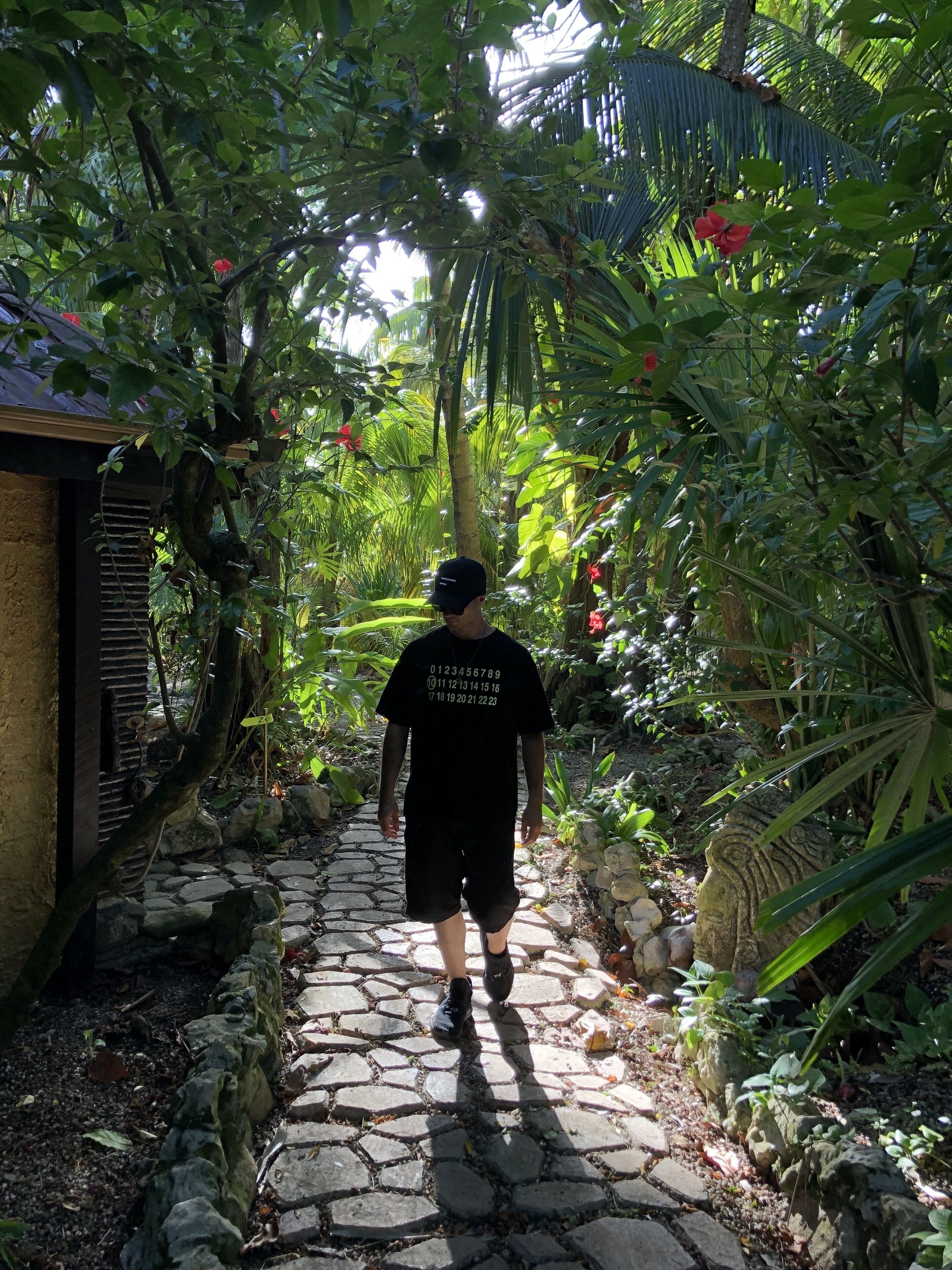 A stone pathway surrounded by lush greenery and tropical plants.