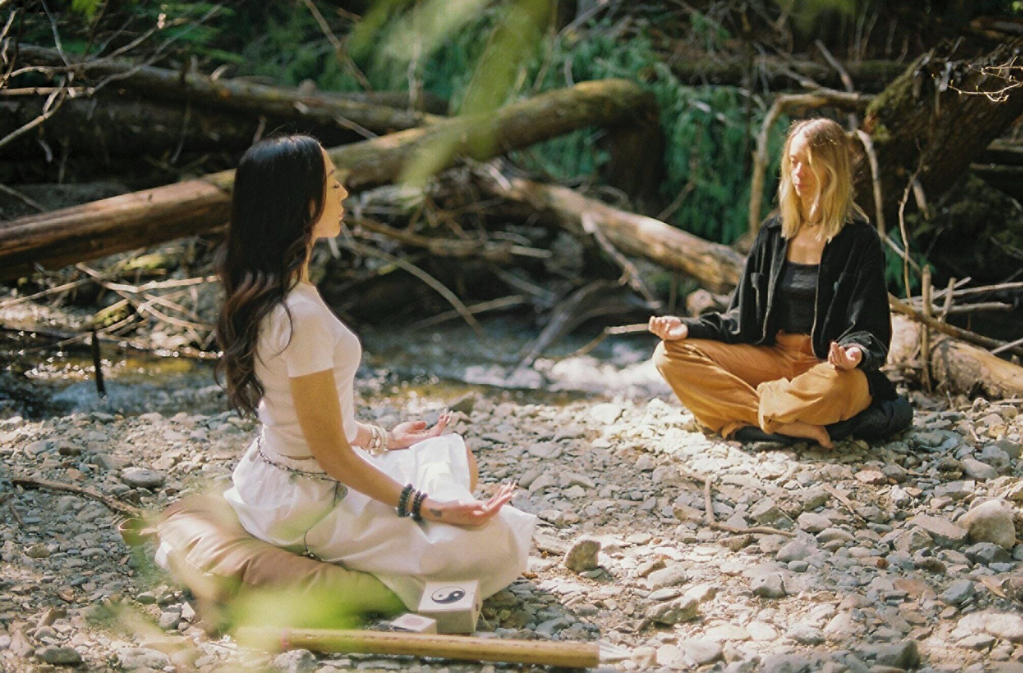 Two individuals meditating in a natural setting with rocks and fallen branches.