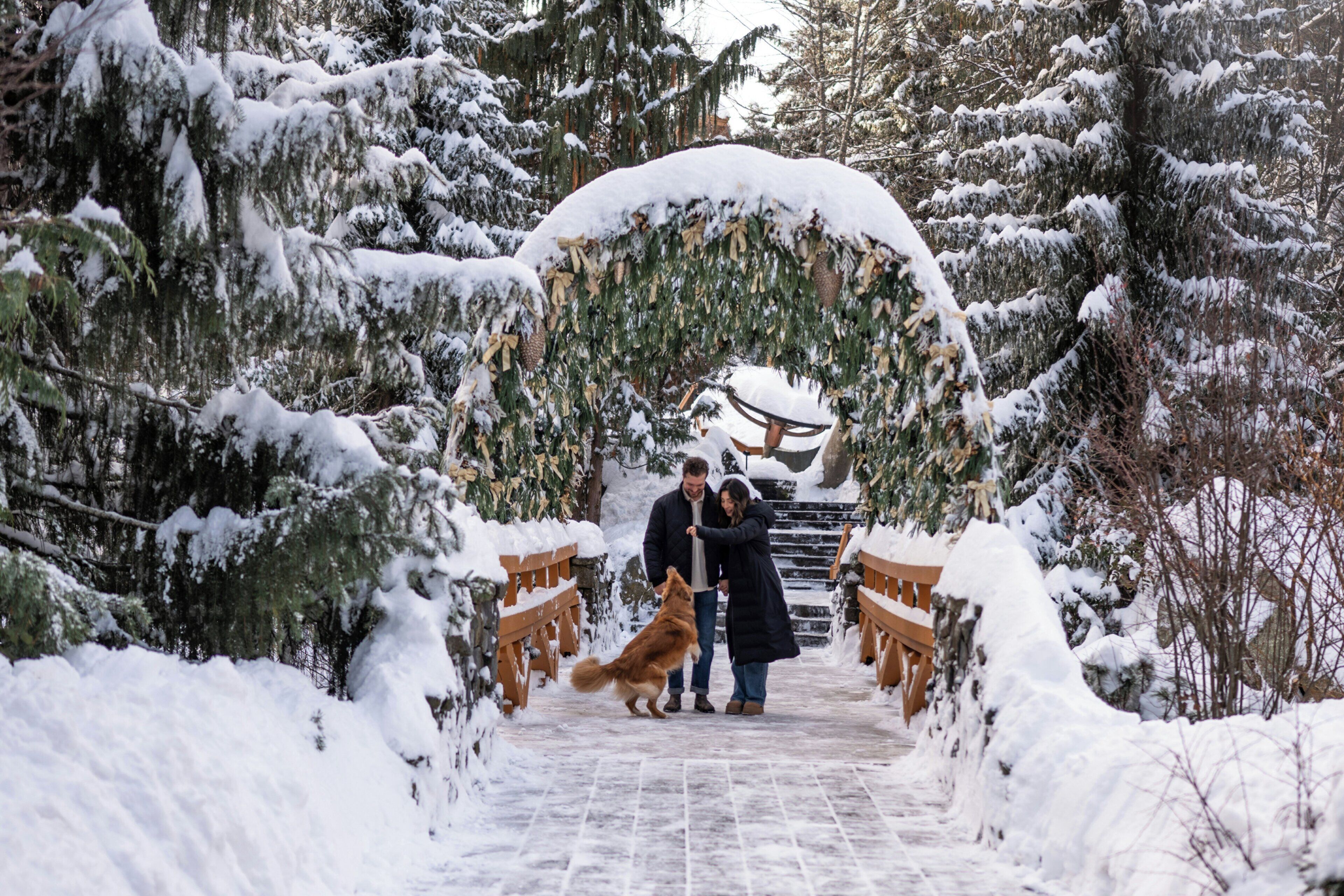 Foto - Four Seasons Resort Whistler