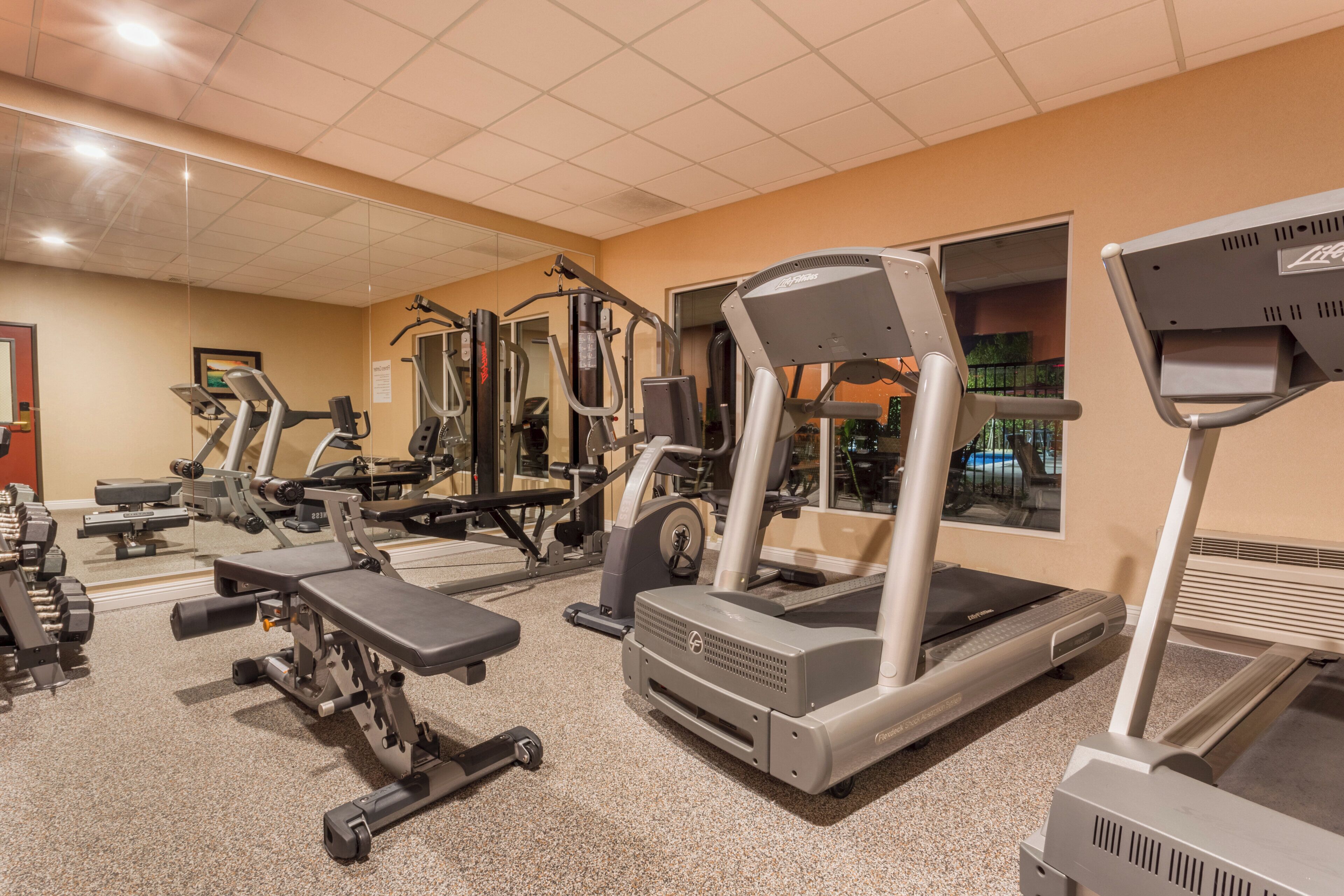 A gym with various exercise equipment including treadmills, weight machines, and free weights.