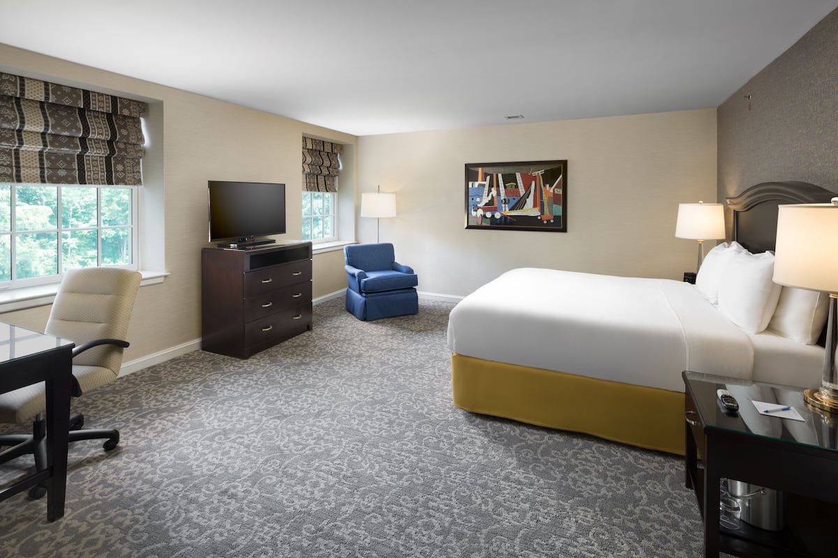 standard room, 1 king bed | in-room safe, individually decorated, desk, blackout curtains