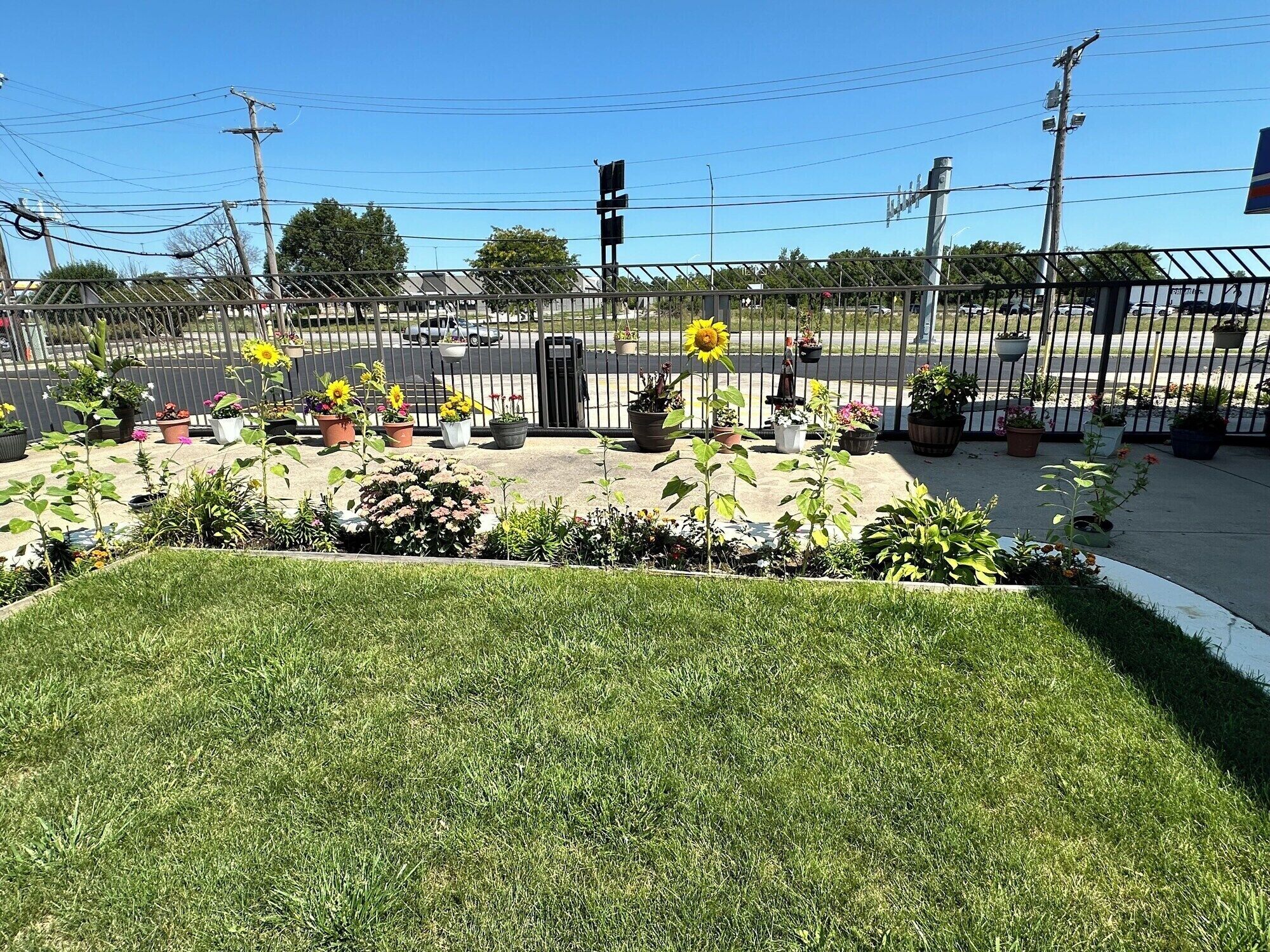 Un espace extérieur clôturé agrémenté de différentes plantes et fleurs en pot.