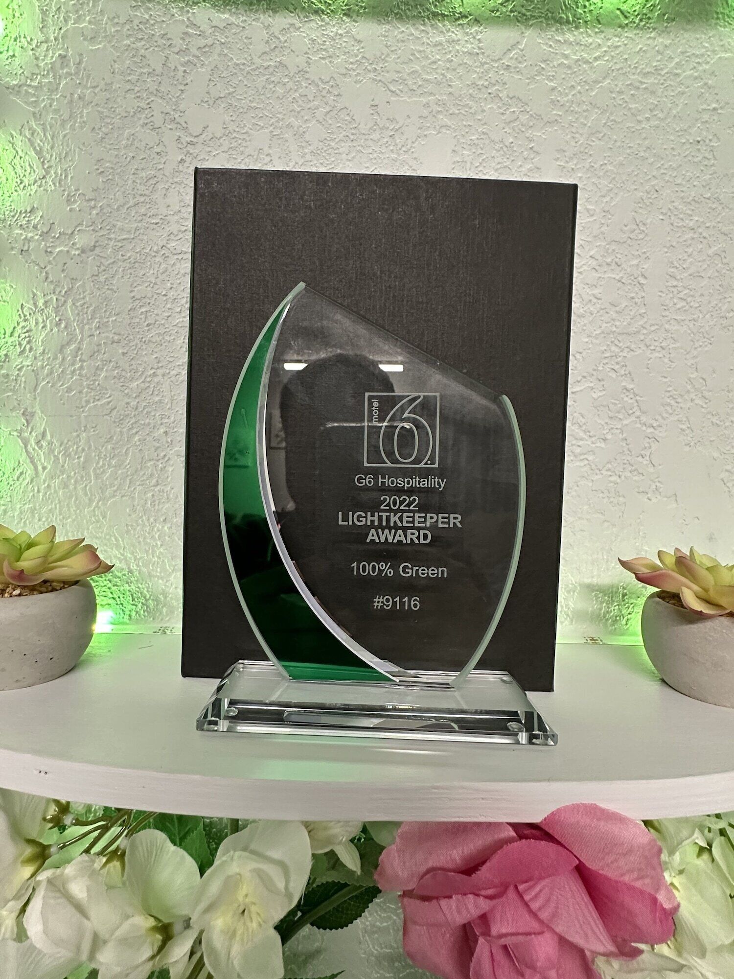 Una placa de reconocimiento brillante sobre un soporte, con fondo negro y detalles en verde, colocada sobre un estante blanco con flores decorativas.