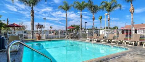 A clear blue swimming pool surrounded by palm trees and lounge chairs.