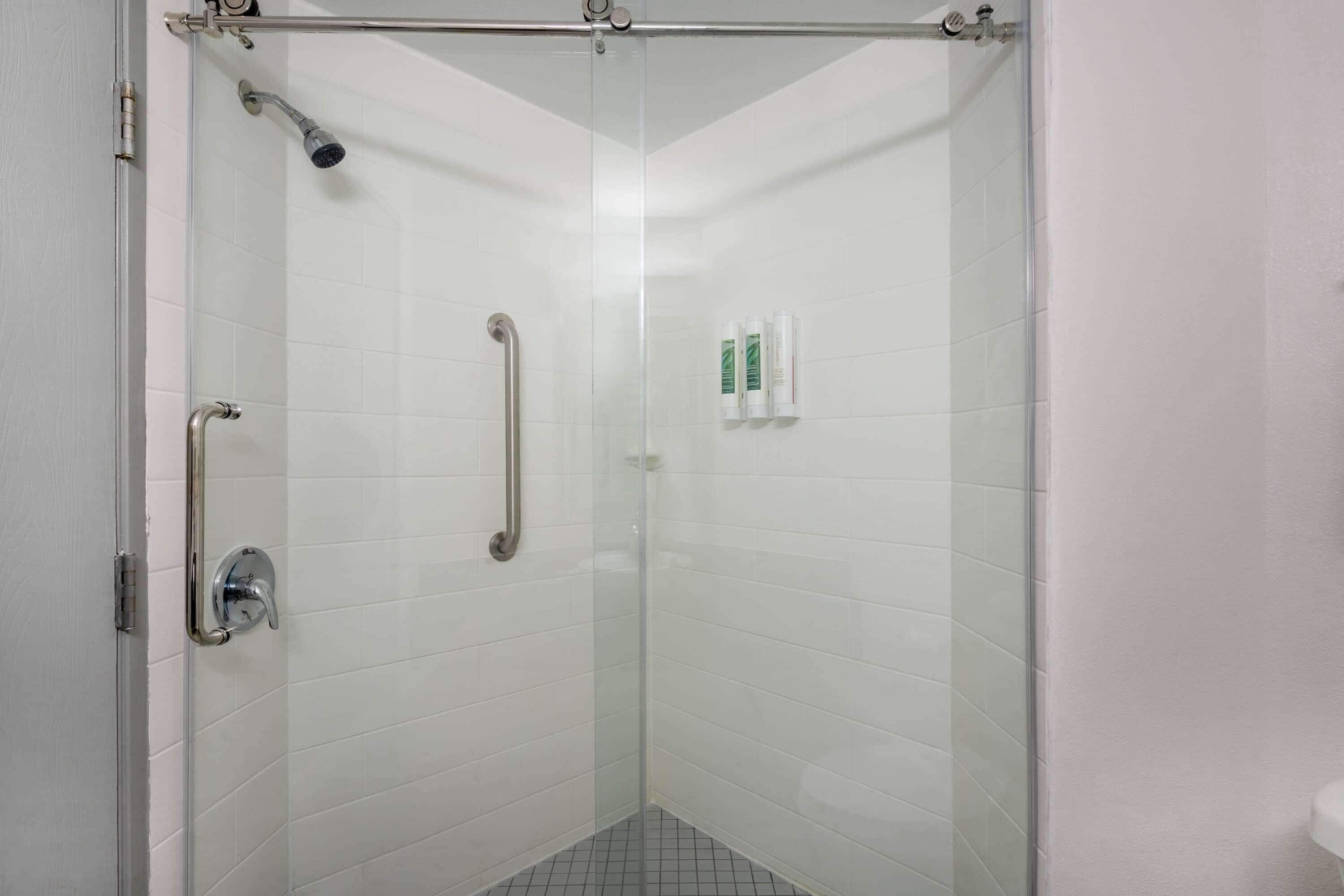 A glass-enclosed shower stall with a handheld showerhead, a handheld shower control, and a glass door.