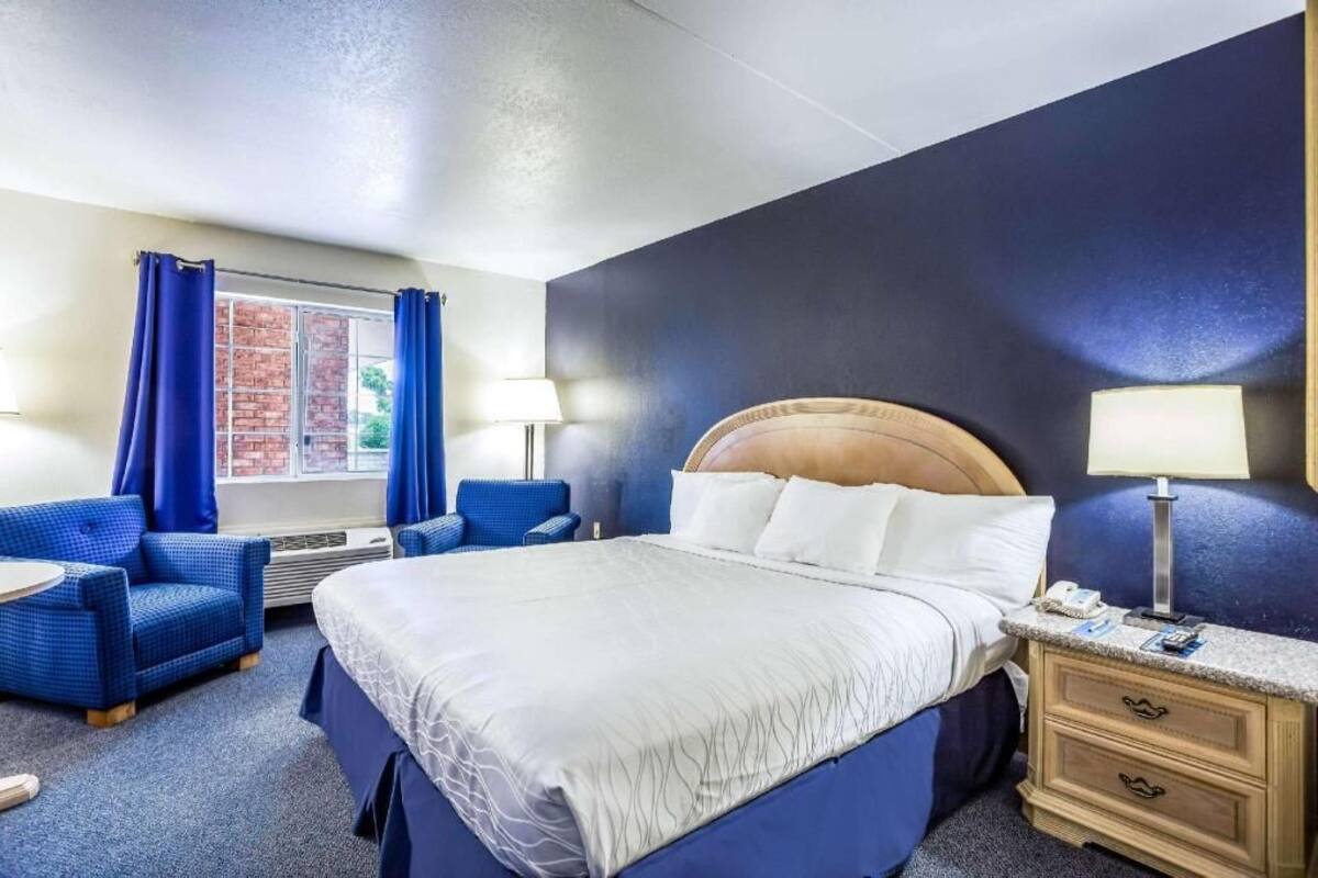 A hotel room with a bed, two chairs, a bedside table, and a window with curtains.