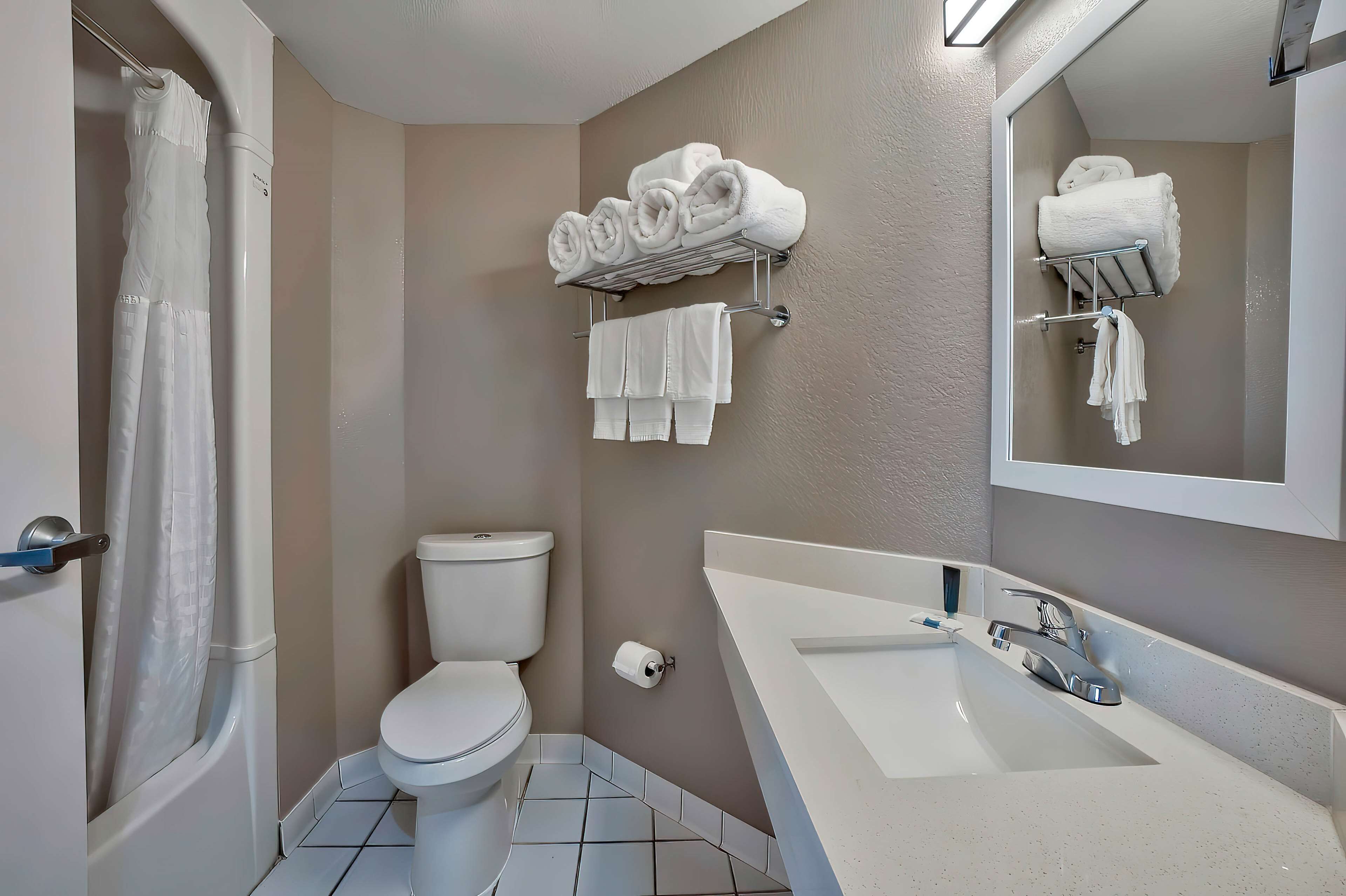 A bathroom with a toilet, a sink, and a shower.
