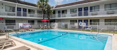 A hotel with a swimming pool, lounge chairs, and a palm tree.