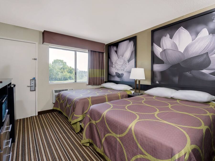 Ferros/tábuas de passar roupa, Wi-Fi de cortesia, roupa de cama