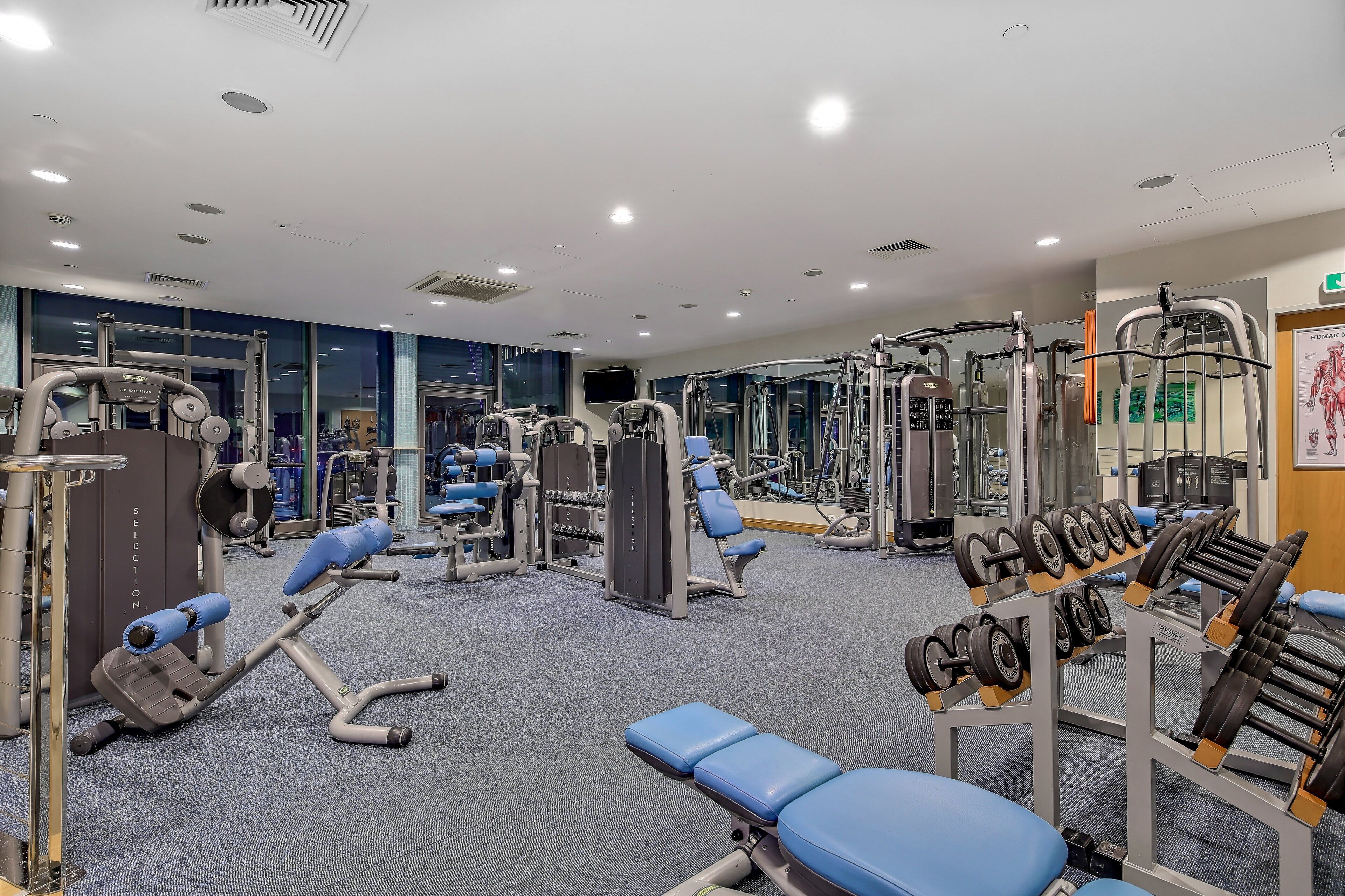Ein Fitnessstudio mit verschiedenen Trainingsgeräten, darunter Kraftgeräte, Bänke und Kurzhanteln.