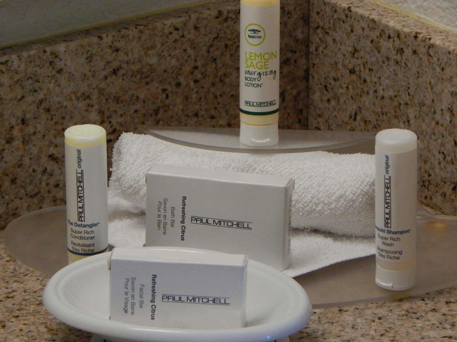 combined shower/bathtub, free toiletries, hair dryer, towels