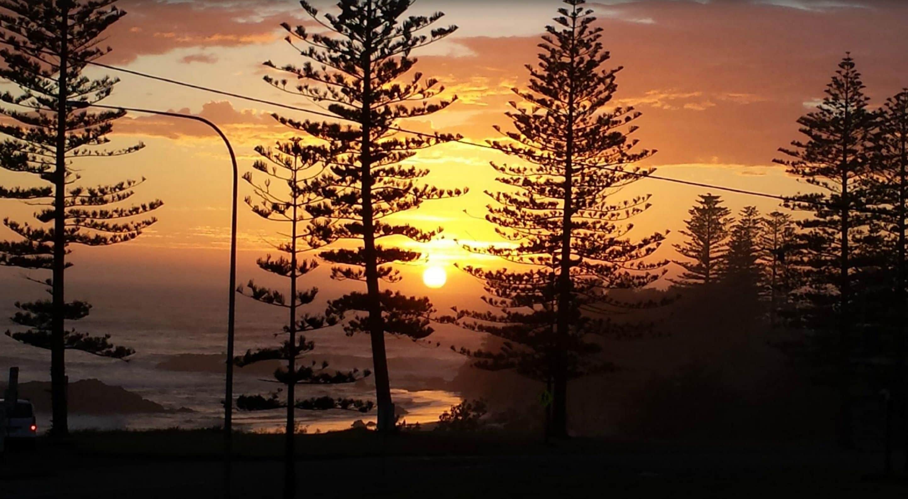 A sunset with trees silhouetted against the sky.