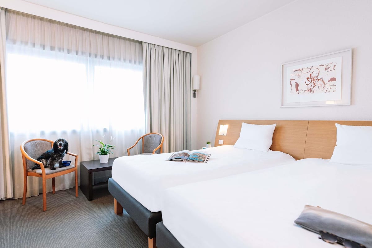 Chambre Supérieure avec lits jumeaux, 2 grands lits | Literie de qualité supérieure, couette en duvet d'oie