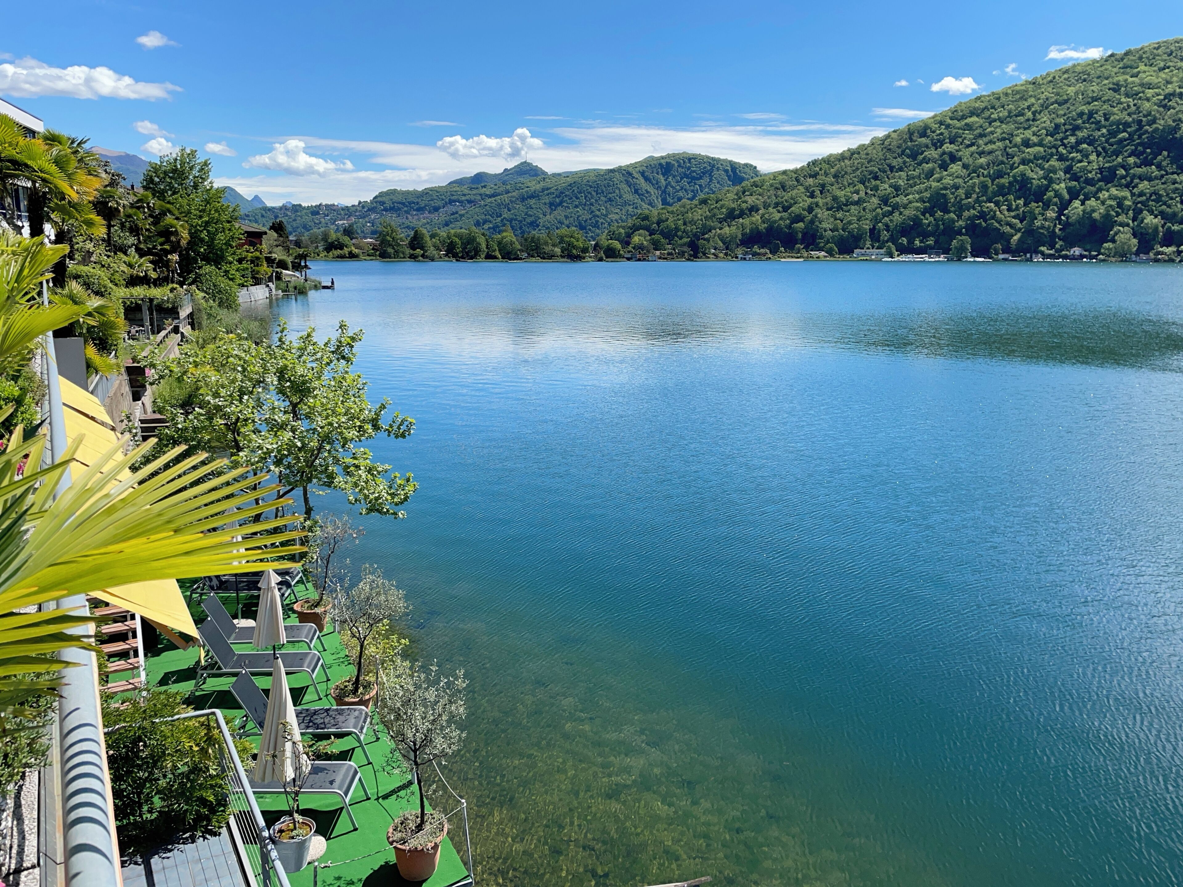 Vista al lago con un muelle, plantas en macetas y cielo despejado.