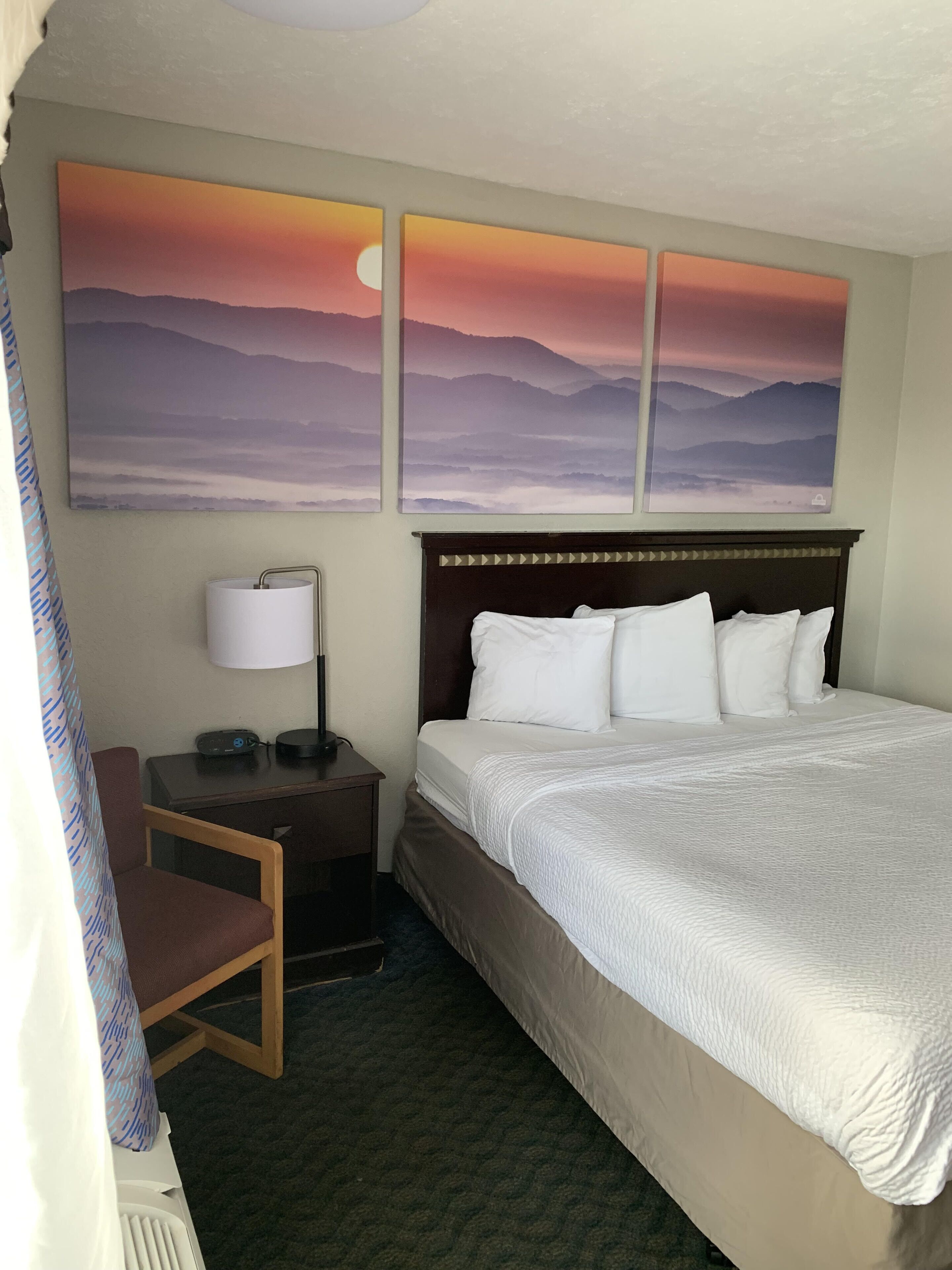 Standard Room, 1 King Bed, Non Smoking