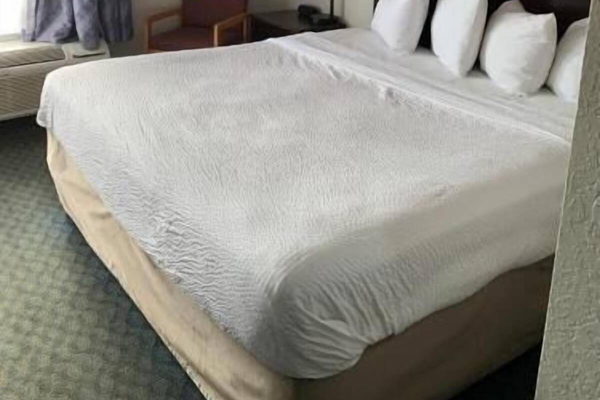 A hotel room with a large bed, a nightstand, a lamp, a chair, and a window with curtains.