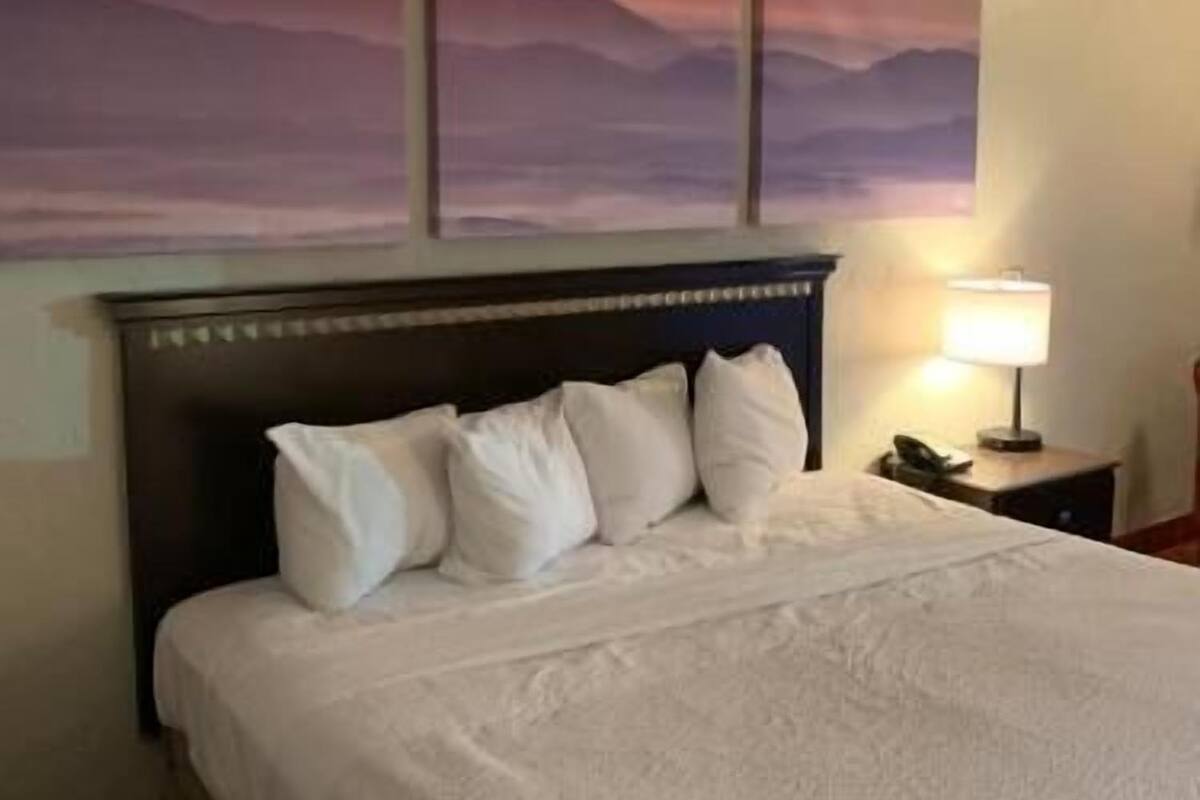 A hotel room with a bed, a nightstand, a lamp, and a painting of a sunset.