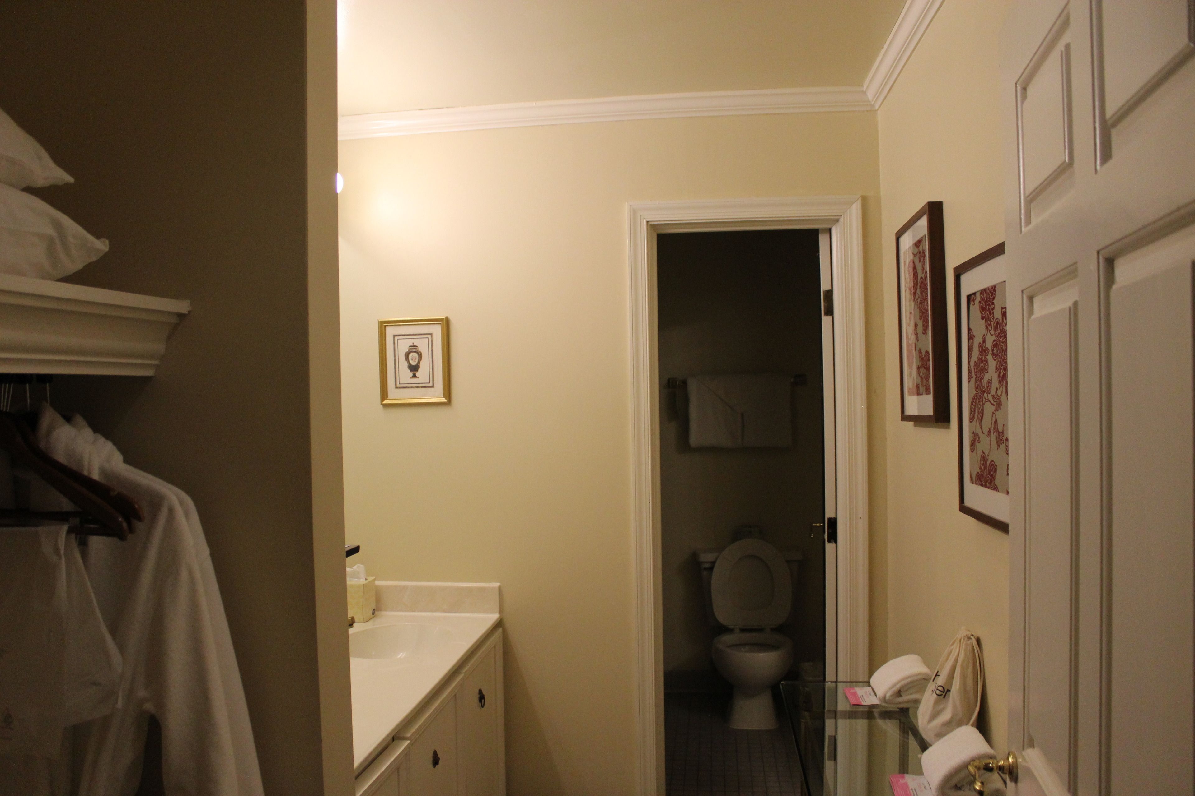 deluxe king suite/honeymoon suite | bathroom | combined shower/bathtub, free toiletries, hair dryer, bathrobes