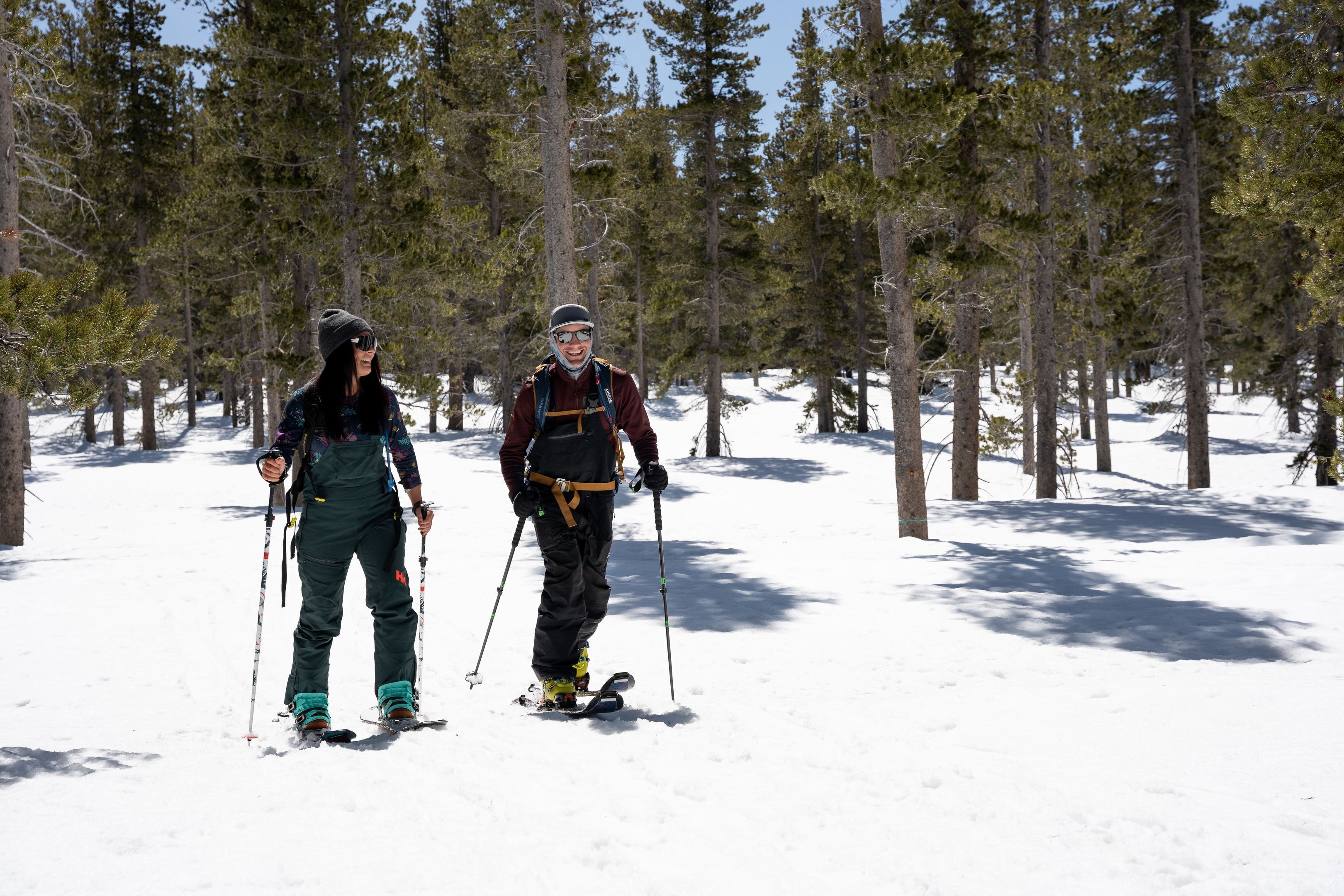 Two people cross-country skiing in a snowy forest.