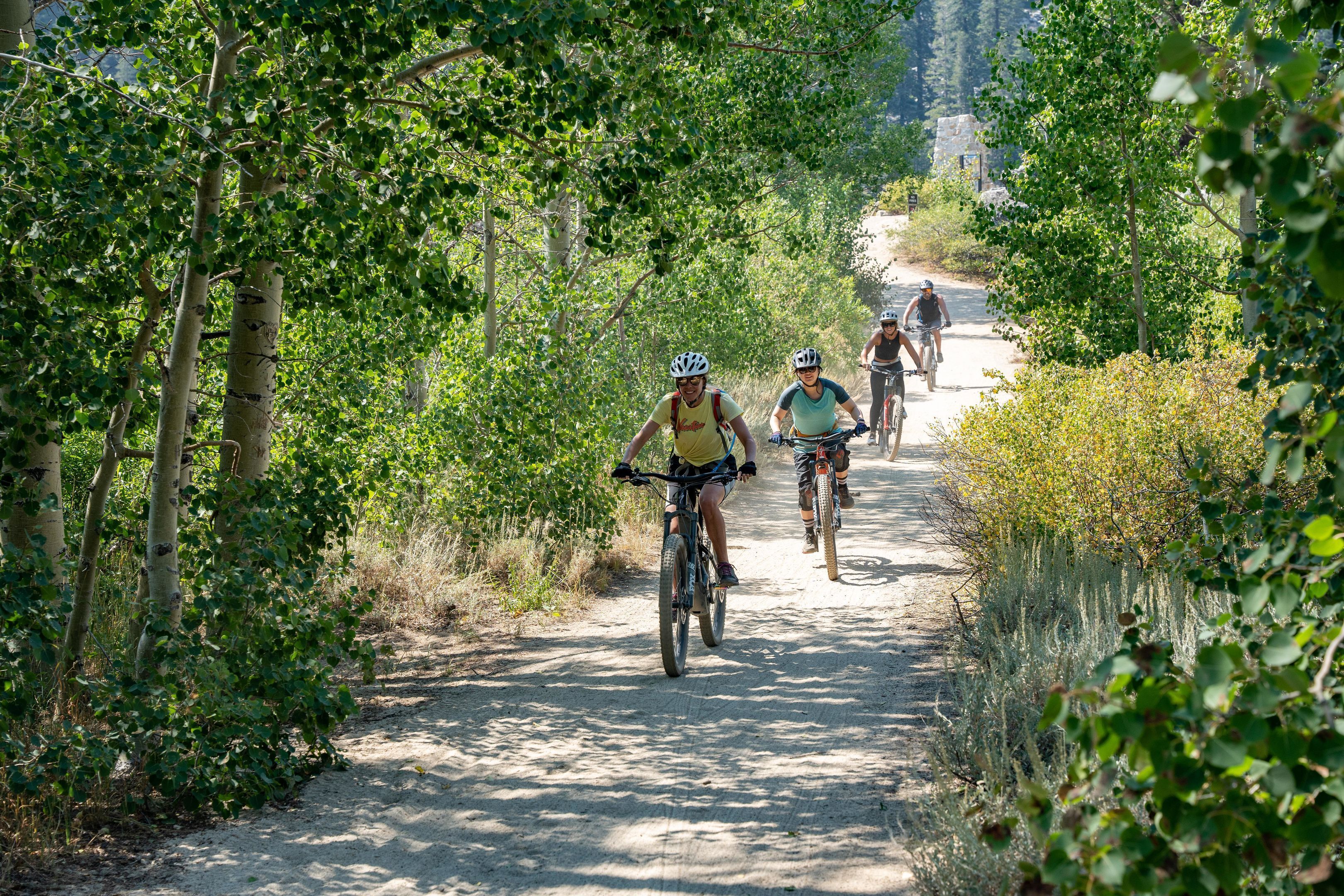 Un grupo de ciclistas en un sendero de tierra rodeado de árboles.