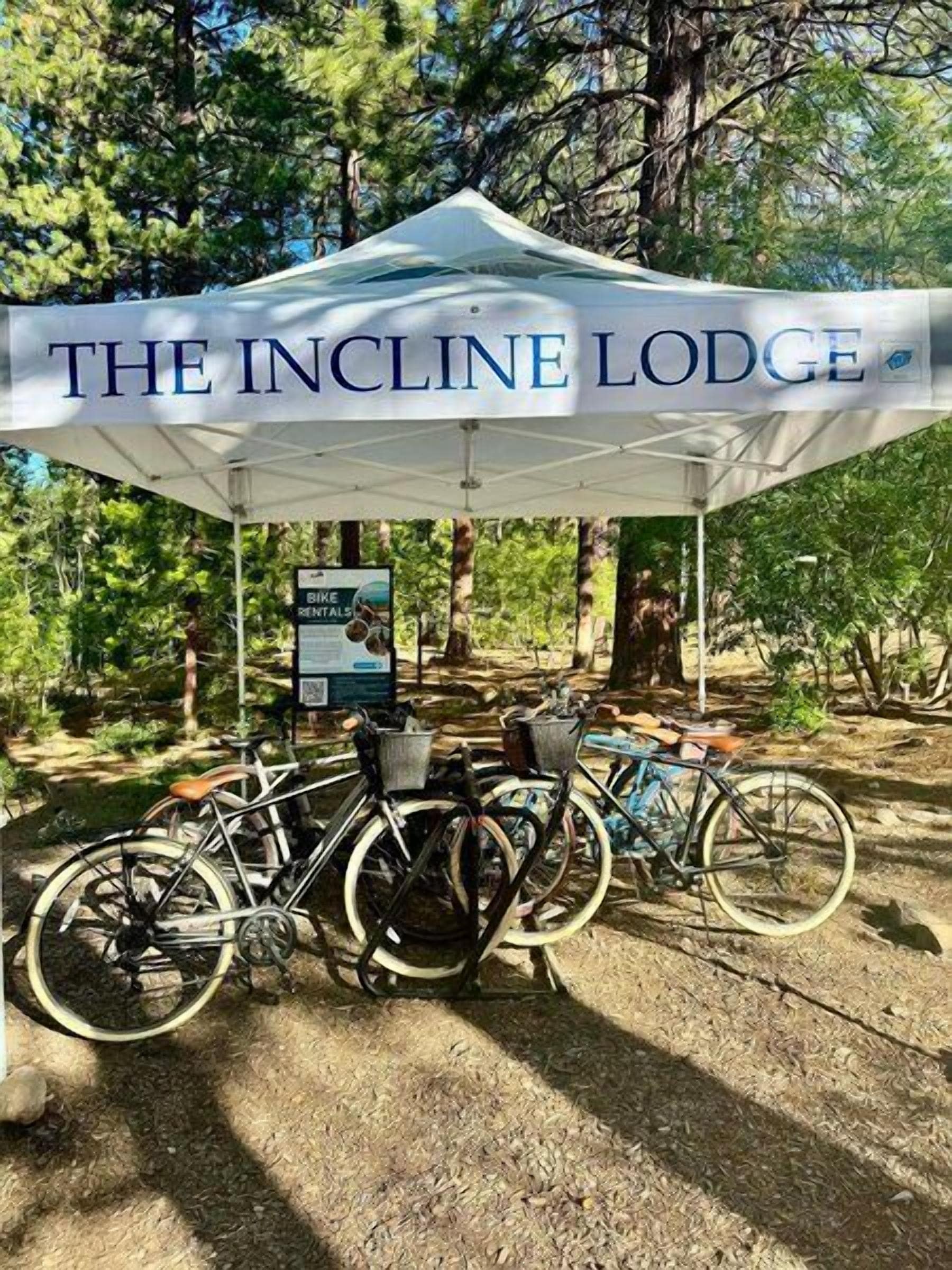 Une tente sur laquelle on peut lire les mots « THE INCLINE LODGE », entourée de vélos et d’arbres.