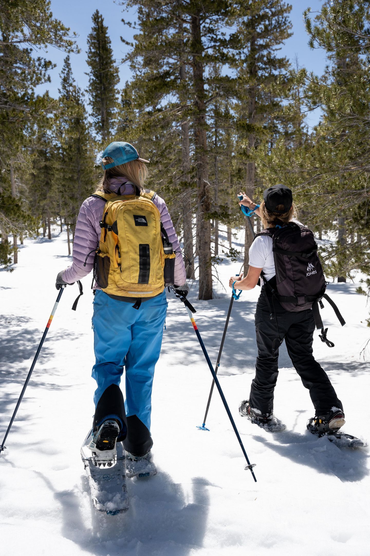 Two people cross-country skiing in a snowy forest.
