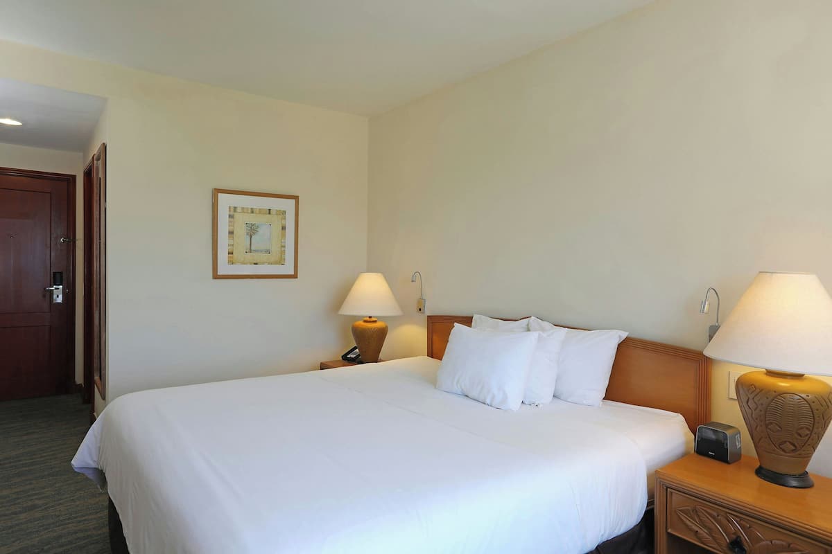 A hotel room with a large bed, two bedside lamps, a nightstand, a framed picture on the wall, and a door.