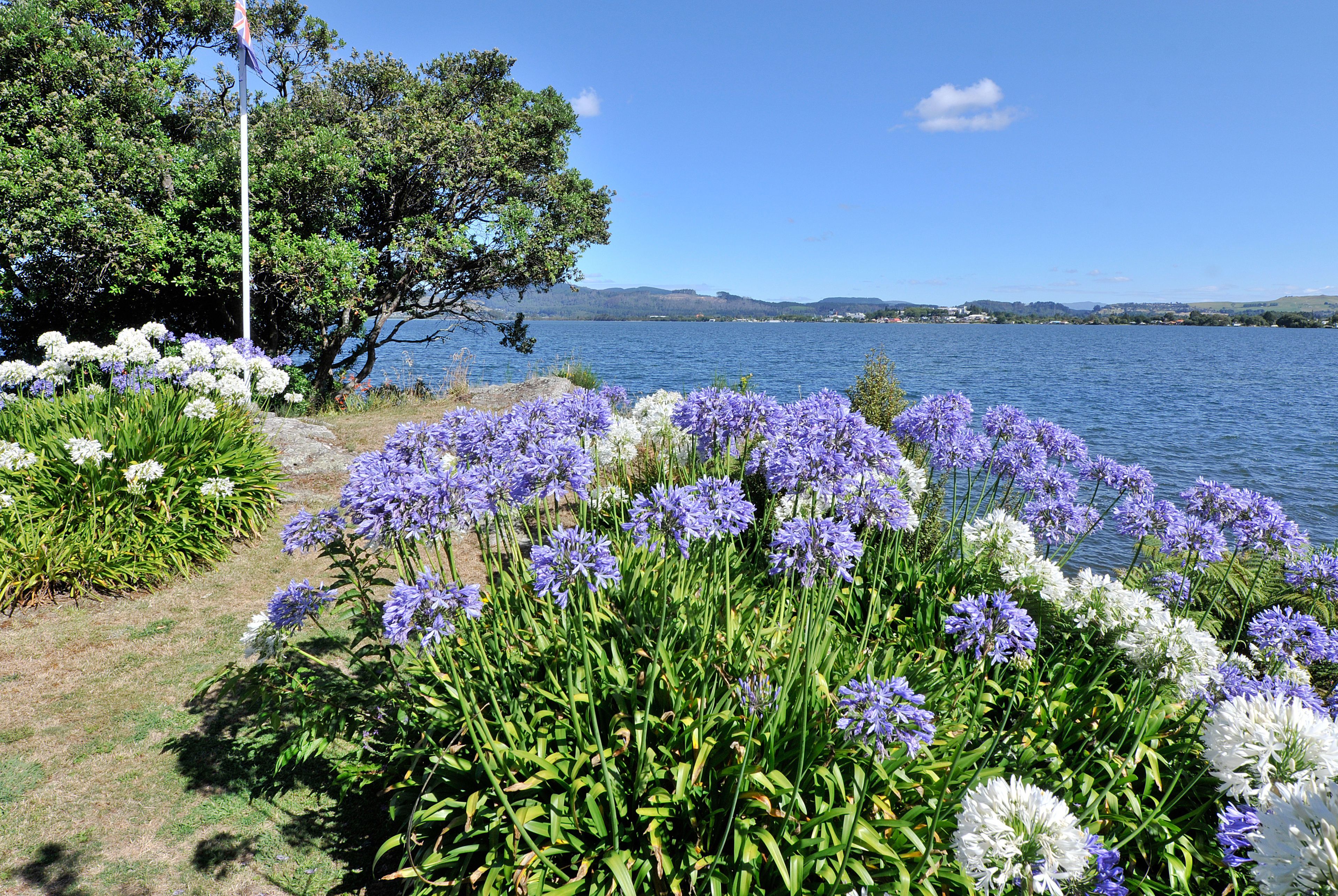 A lakeside garden with purple and white flowers, a flagpole, and a clear view of the lake and distant hills.