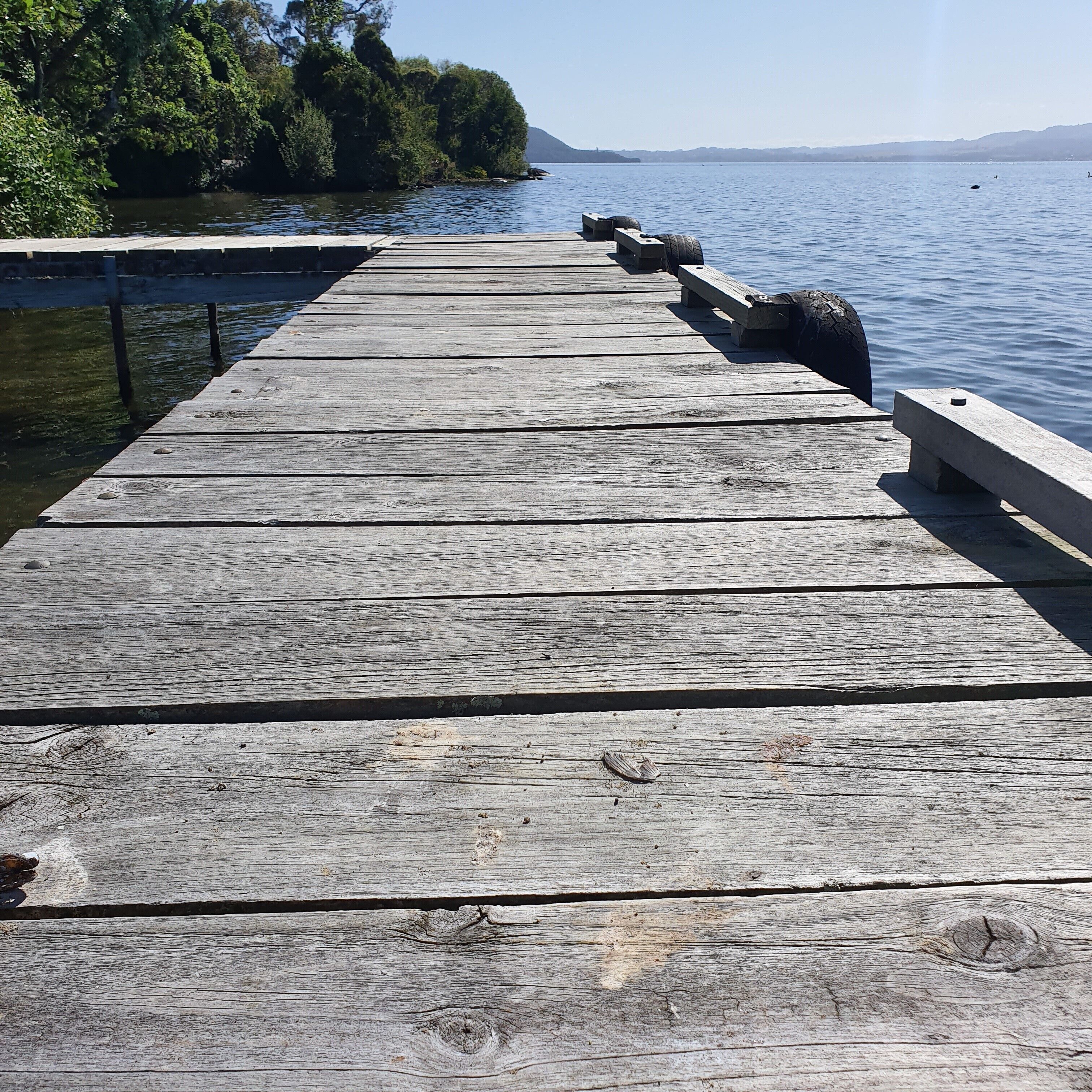 A wooden pier extending into a calm body of water, with a bench on the right side and trees lining the left.