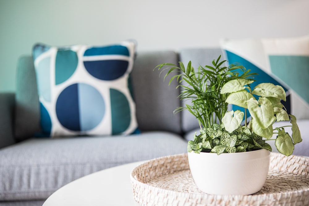 Port Douglas Peninsula Boutique Hotel by null