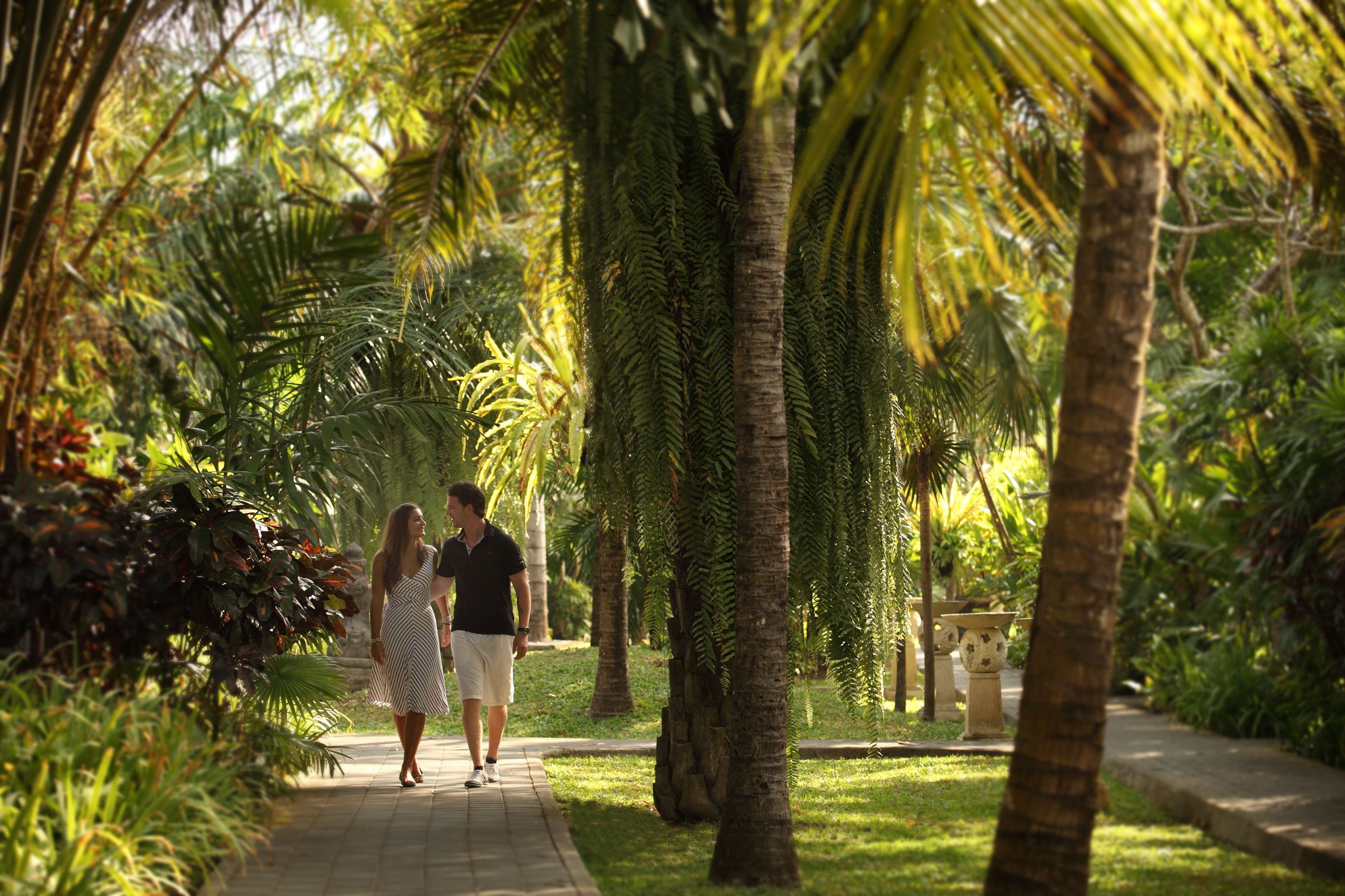A pathway lined with palm trees and lush greenery, leading to a building with a stone facade.