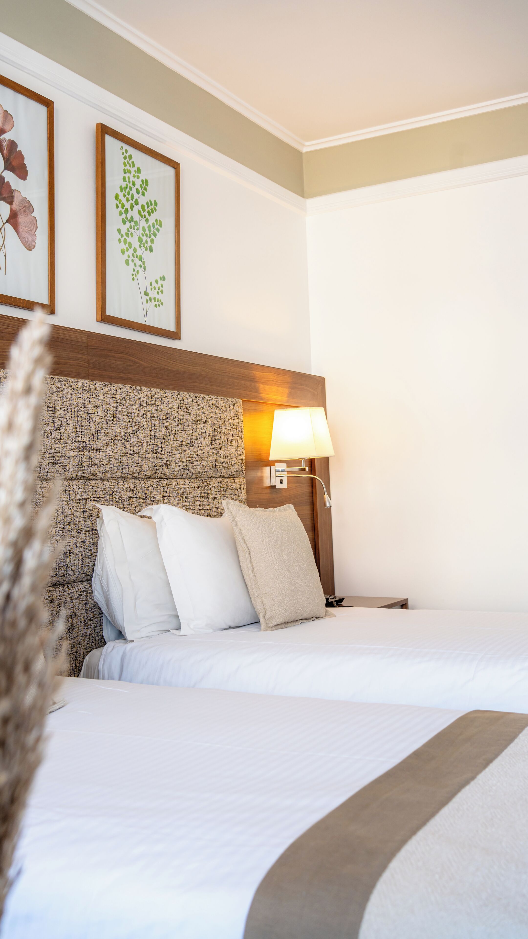 Literie de qualité supérieure, surmatelas