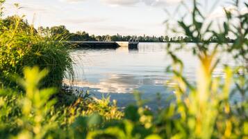 Um lago calmo com uma ponte ao fundo e vegetação exuberante em primeiro plano.