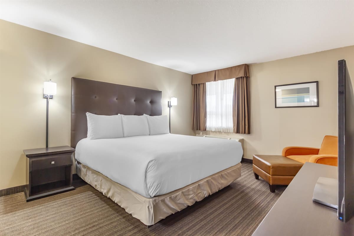 1 bedroom, laptop workspace, iron/ironing board, free WiFi