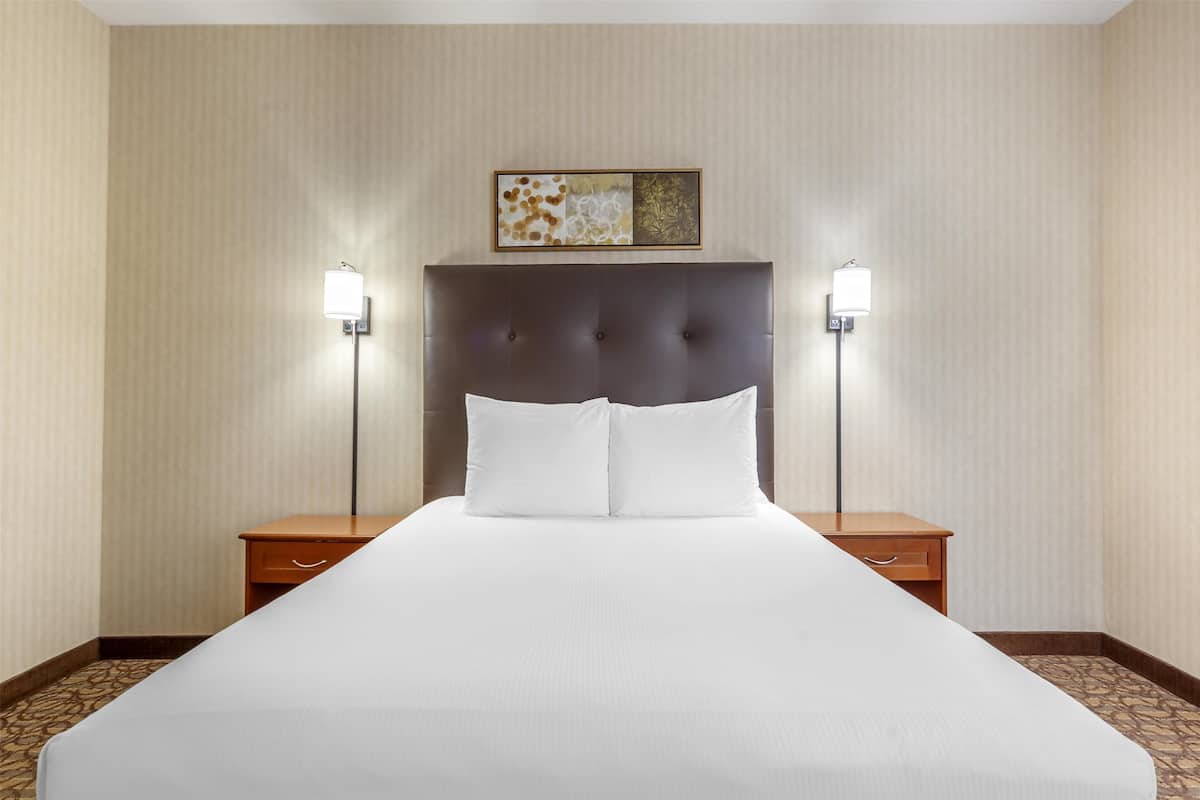 Standard Room, 1 Queen Bed, Accessible, Refrigerator & Microwave