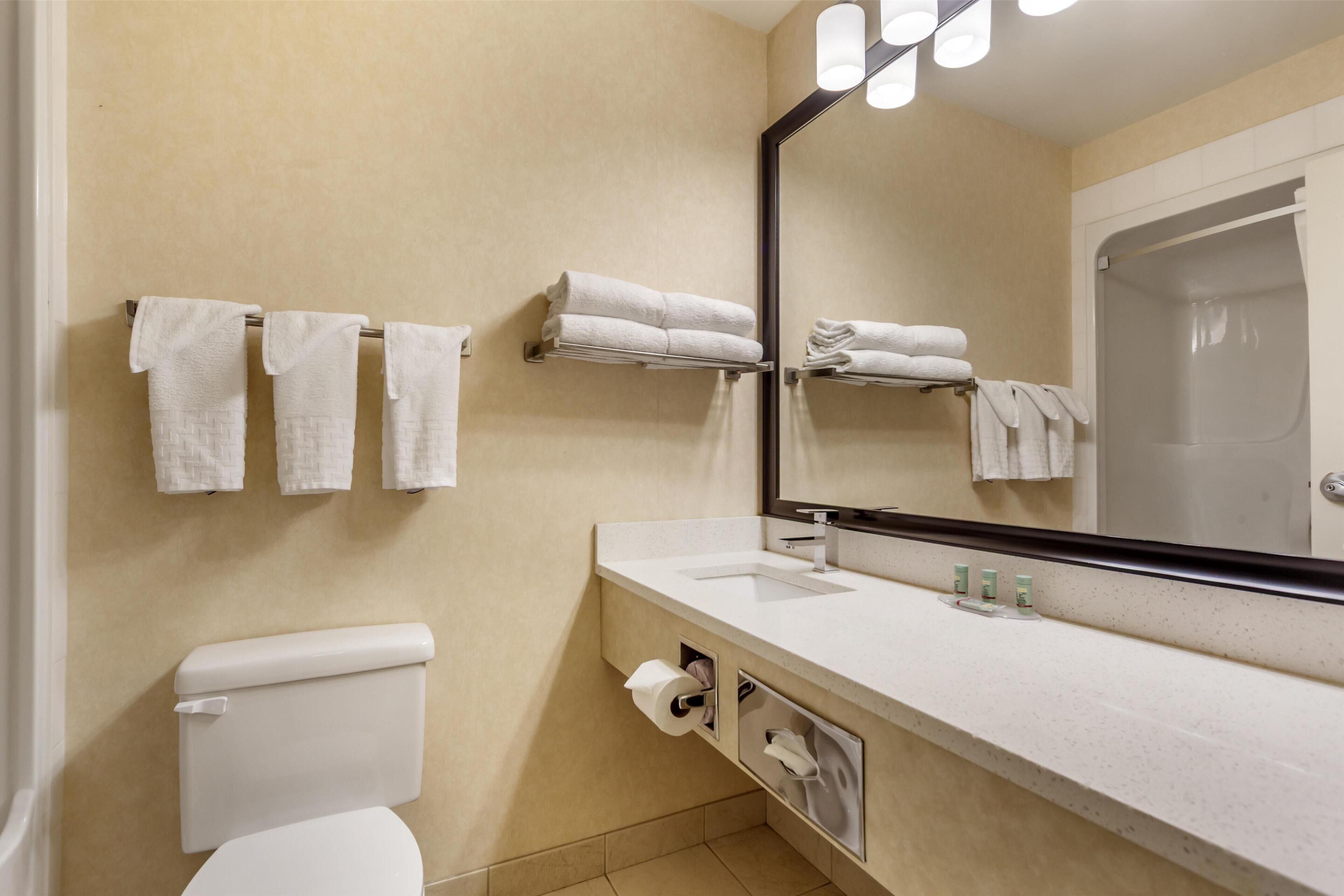 suite, multiple beds, non smoking, refrigerator & microwave | bathroom | shower, free toiletries, hair dryer, towels