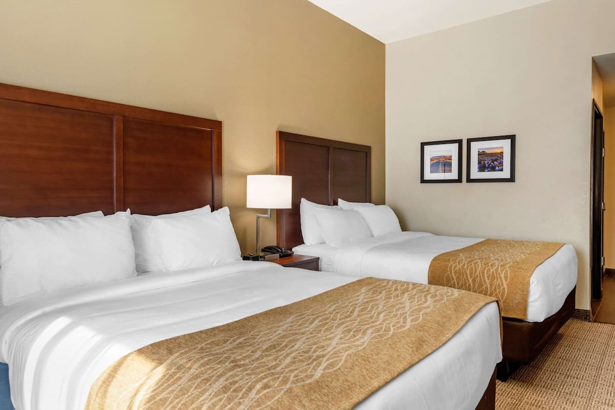 A hotel room with two beds, a nightstand, a lamp, and two framed pictures on the wall.