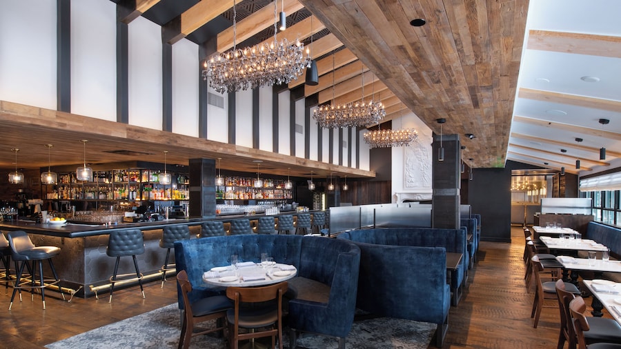 Gravity Haus Vail