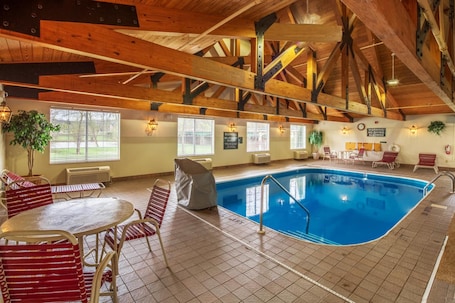Indoor pool, sun loungers